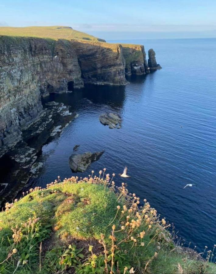 Peedie Cott Self-Catering, Orkney Saint Margarets Hope Exterior foto